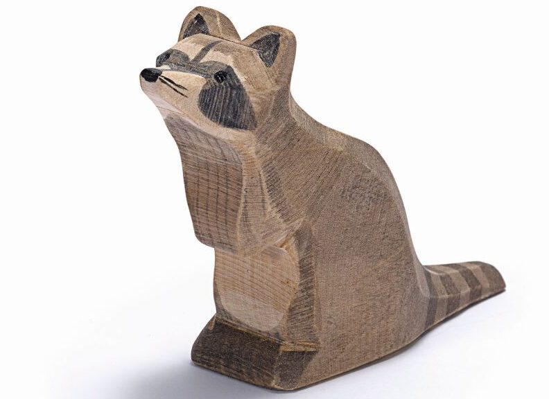 16271 Ostheimer Waschbär sitzend