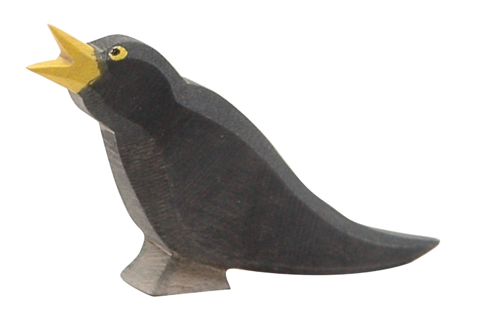 16801 Ostheimer Amsel