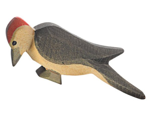 16810 Ostheimer Specht