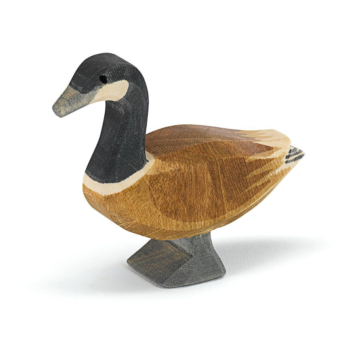 22701 Ostheimer Kanadagans stehend