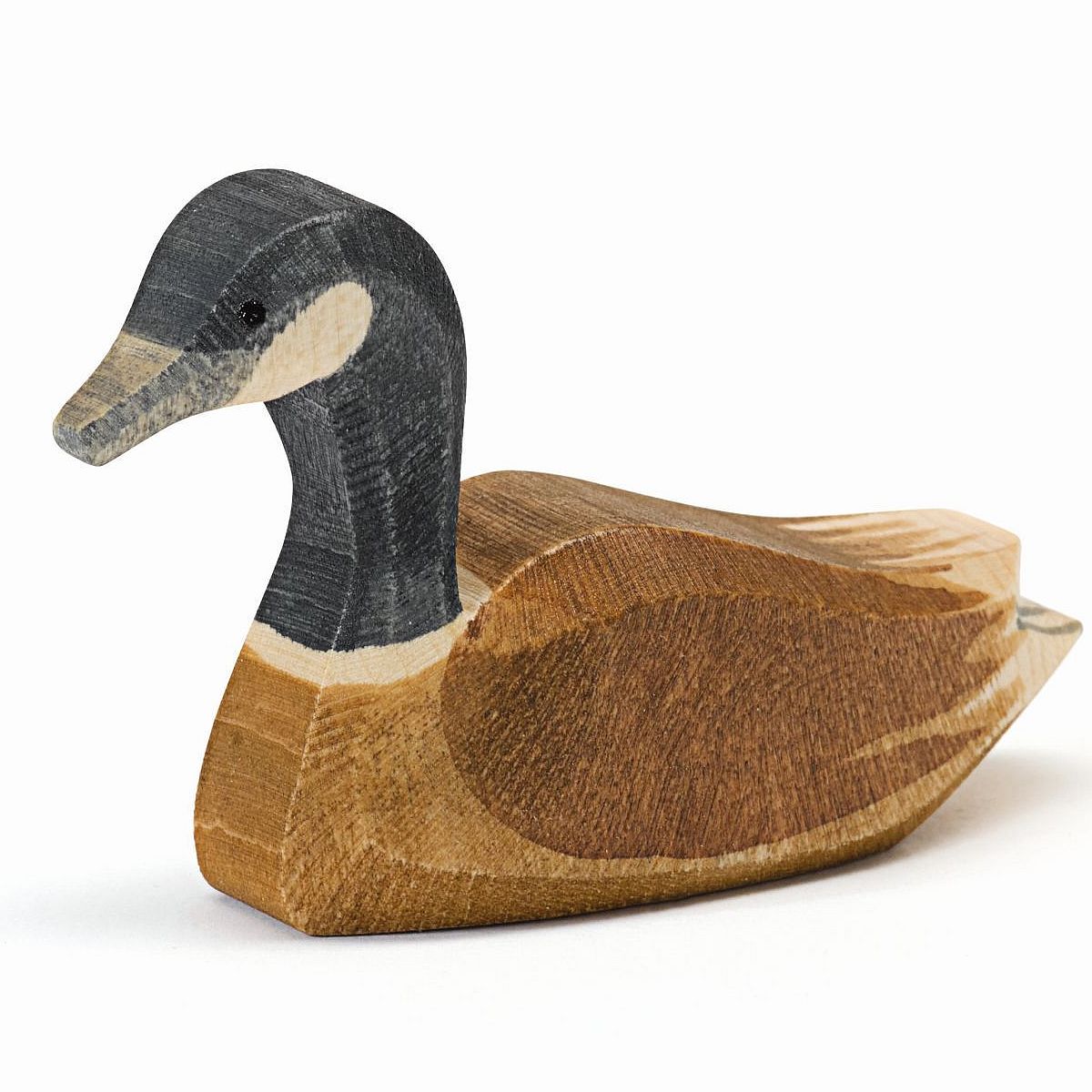 22703 Ostheimer Kanadagans schwimmend