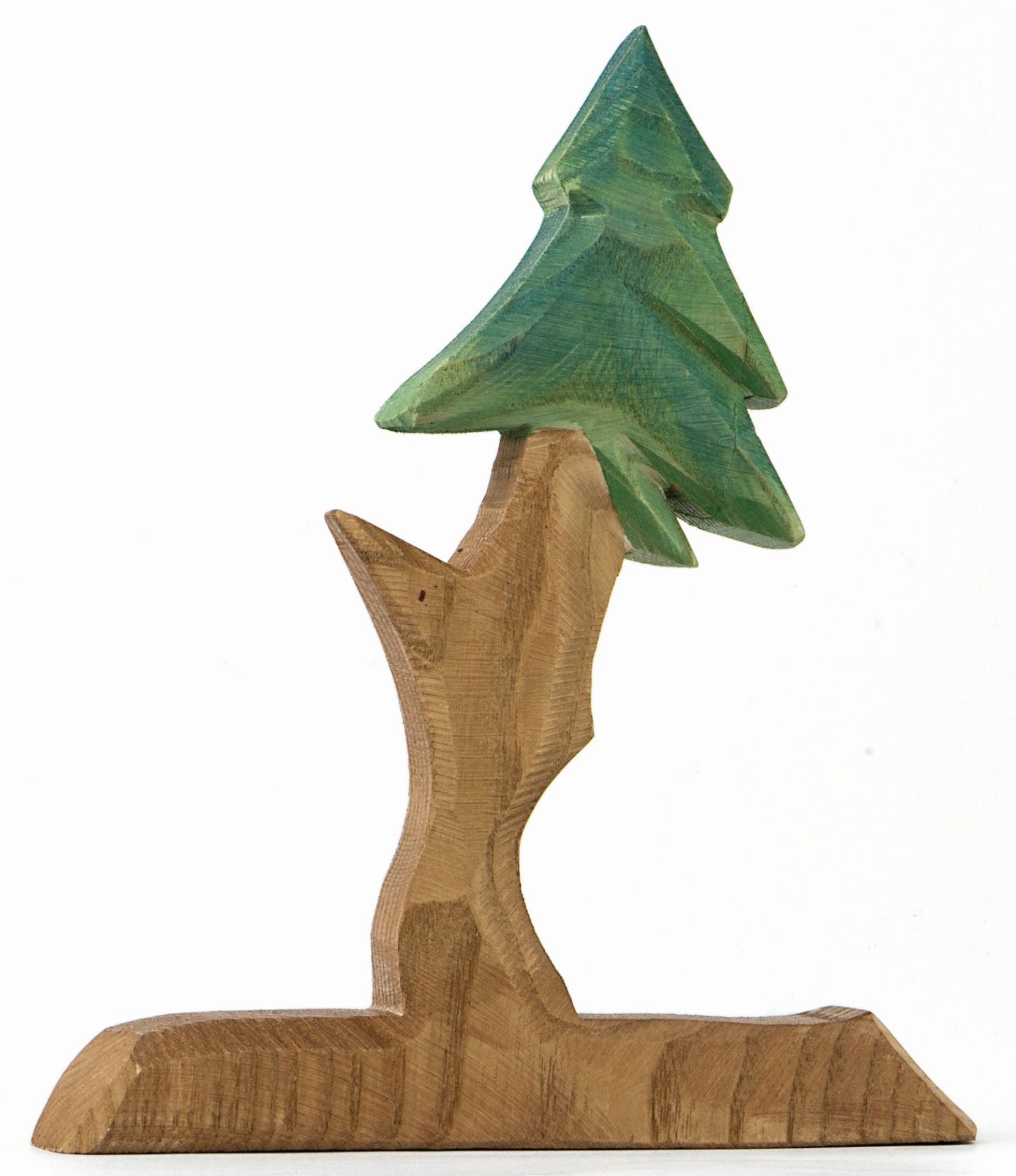 25094 Ostheimer Tanne für Tannenzwerge