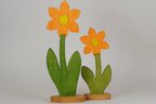 Blume groß orange