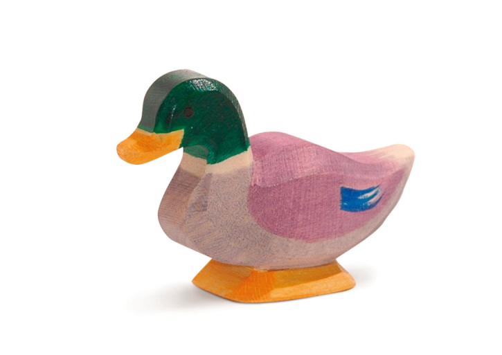 13211 Ostheimer Erpel