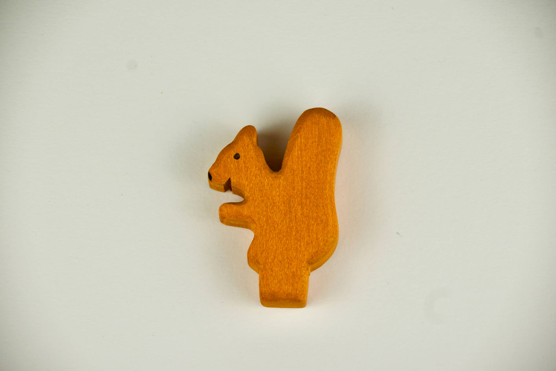 Stecker Eichhörnchen