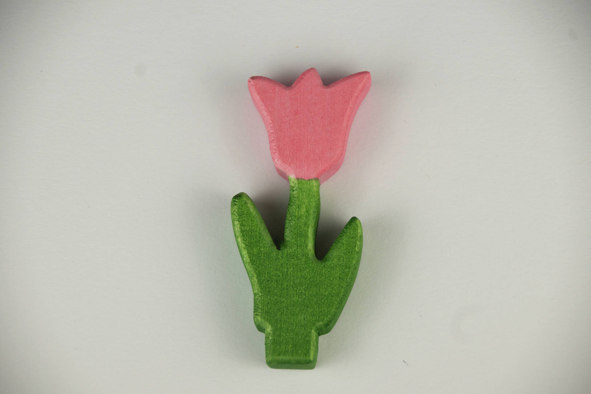 Stecker Tulpe rosa