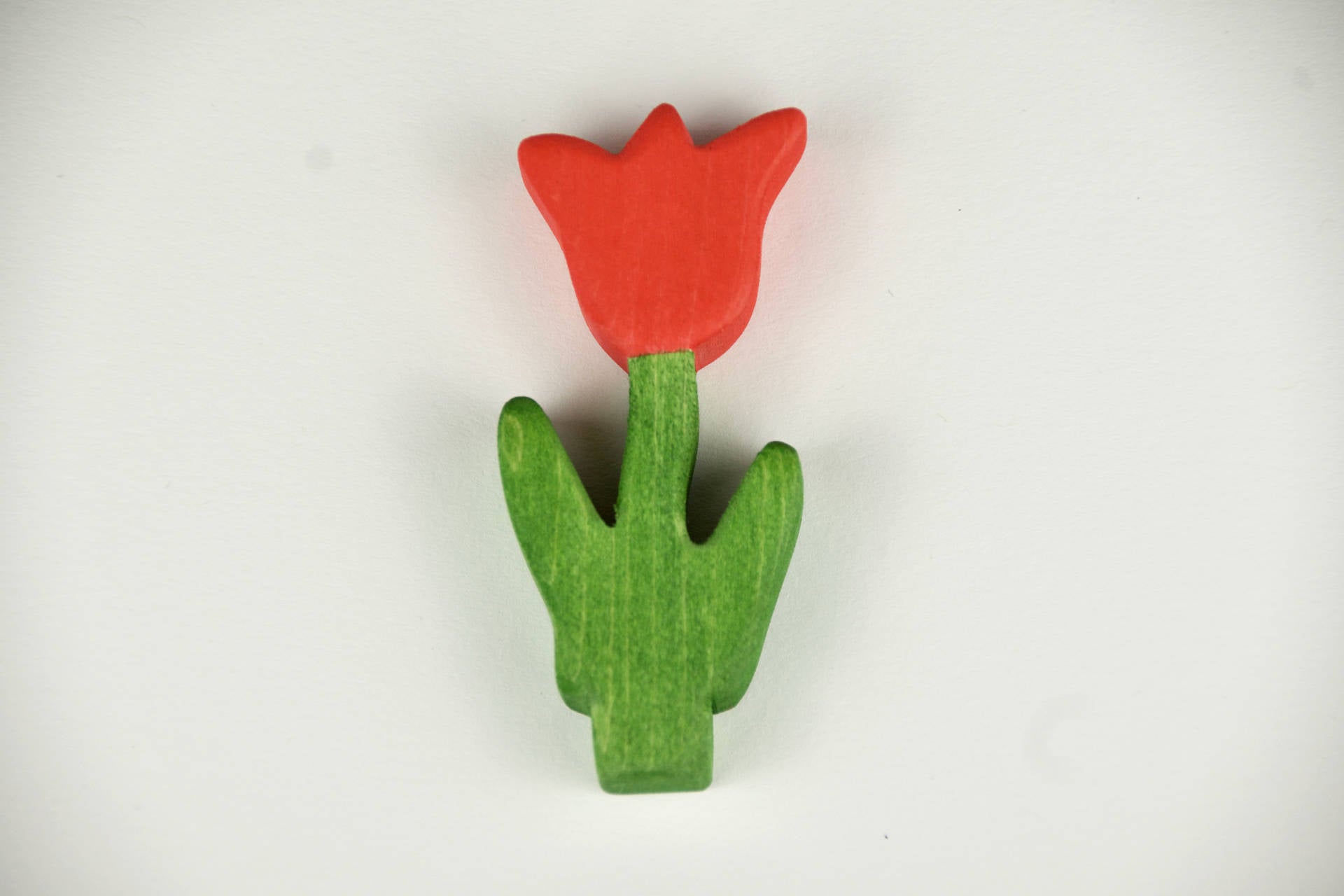 Stecker Tulpe rot
