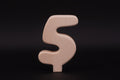 Stecker 5