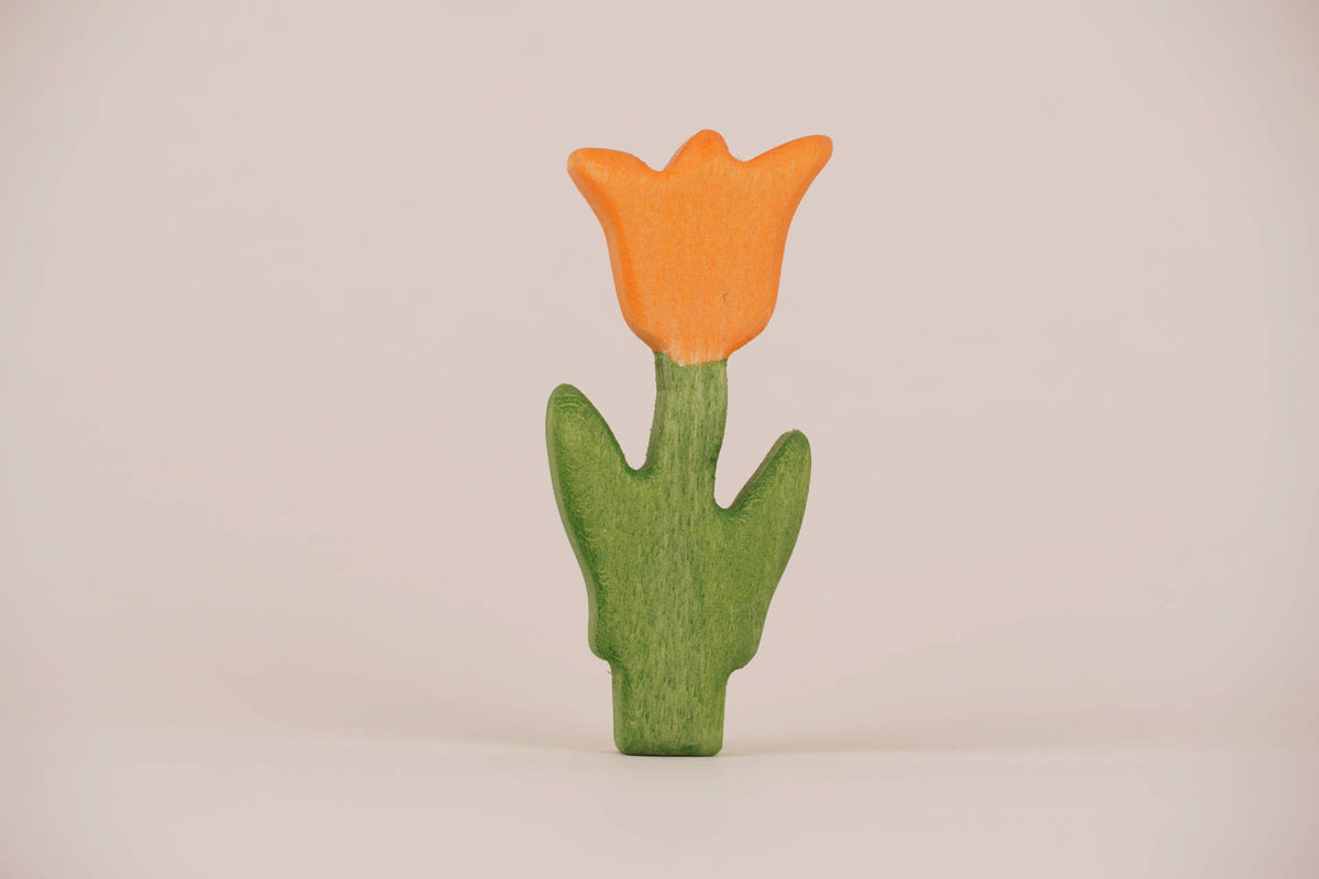Stecker Tulpe orange