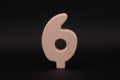 Stecker 6