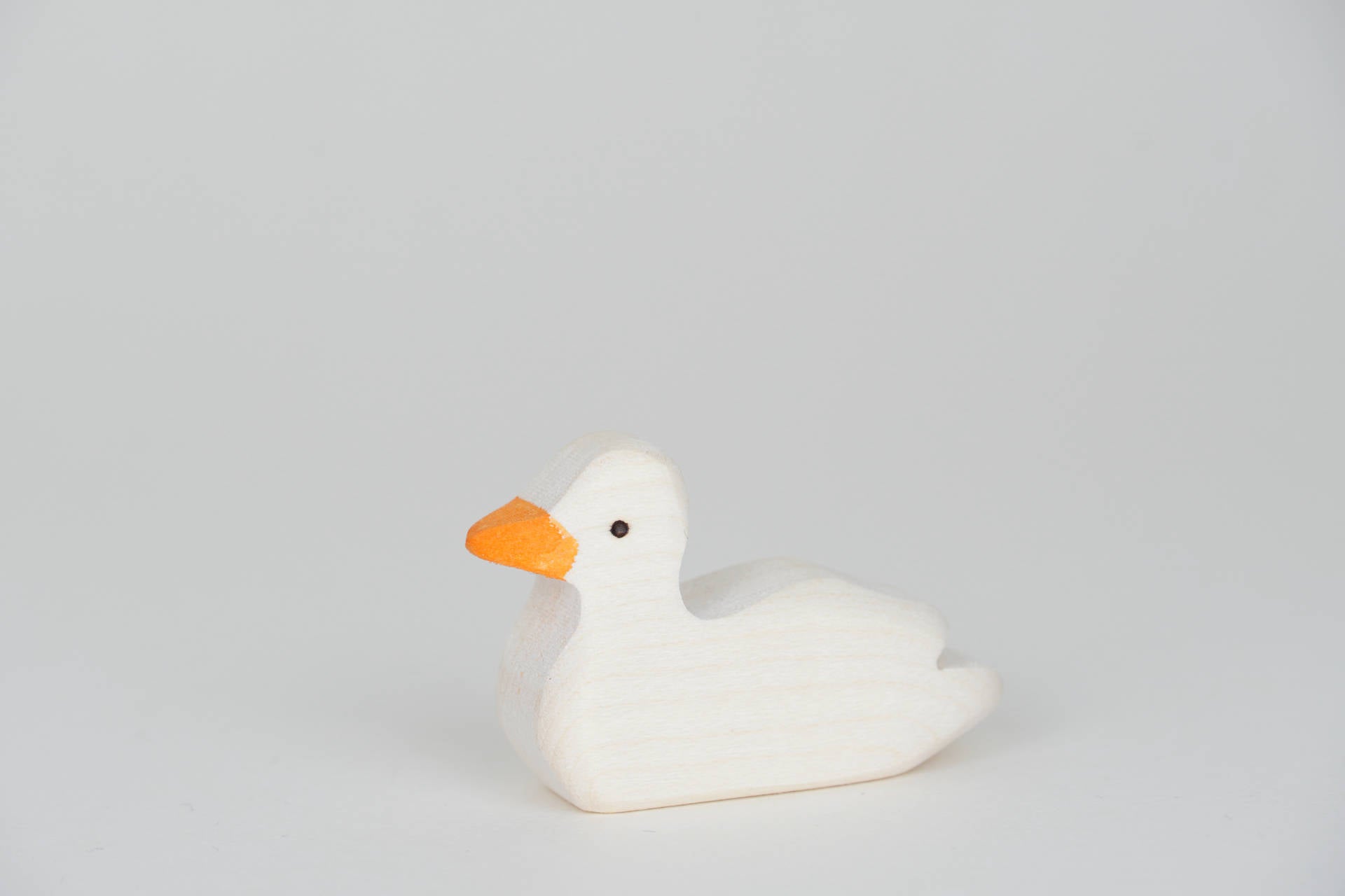 Ente weiß schwimmend