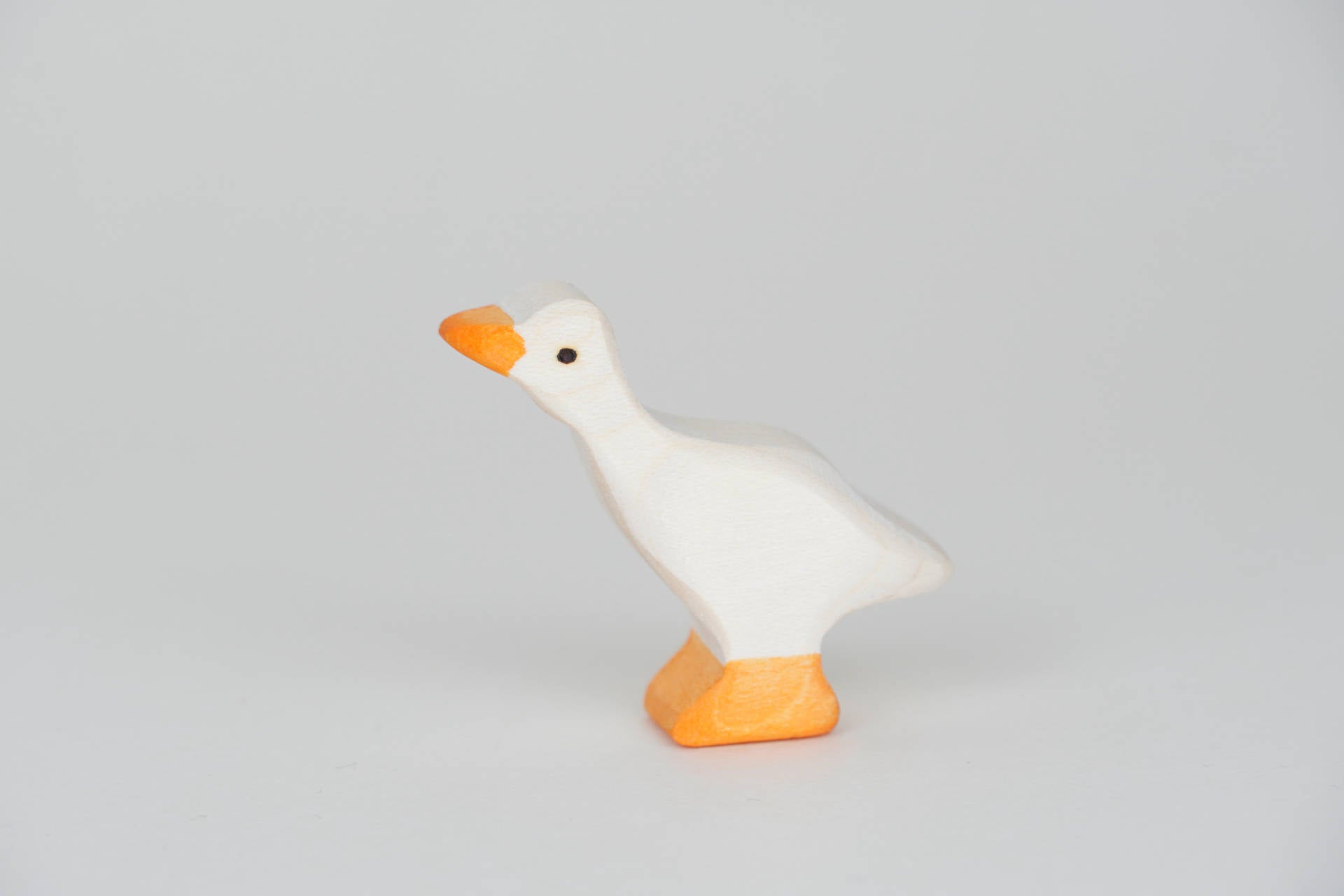 Gans klein weiß Kopf oben