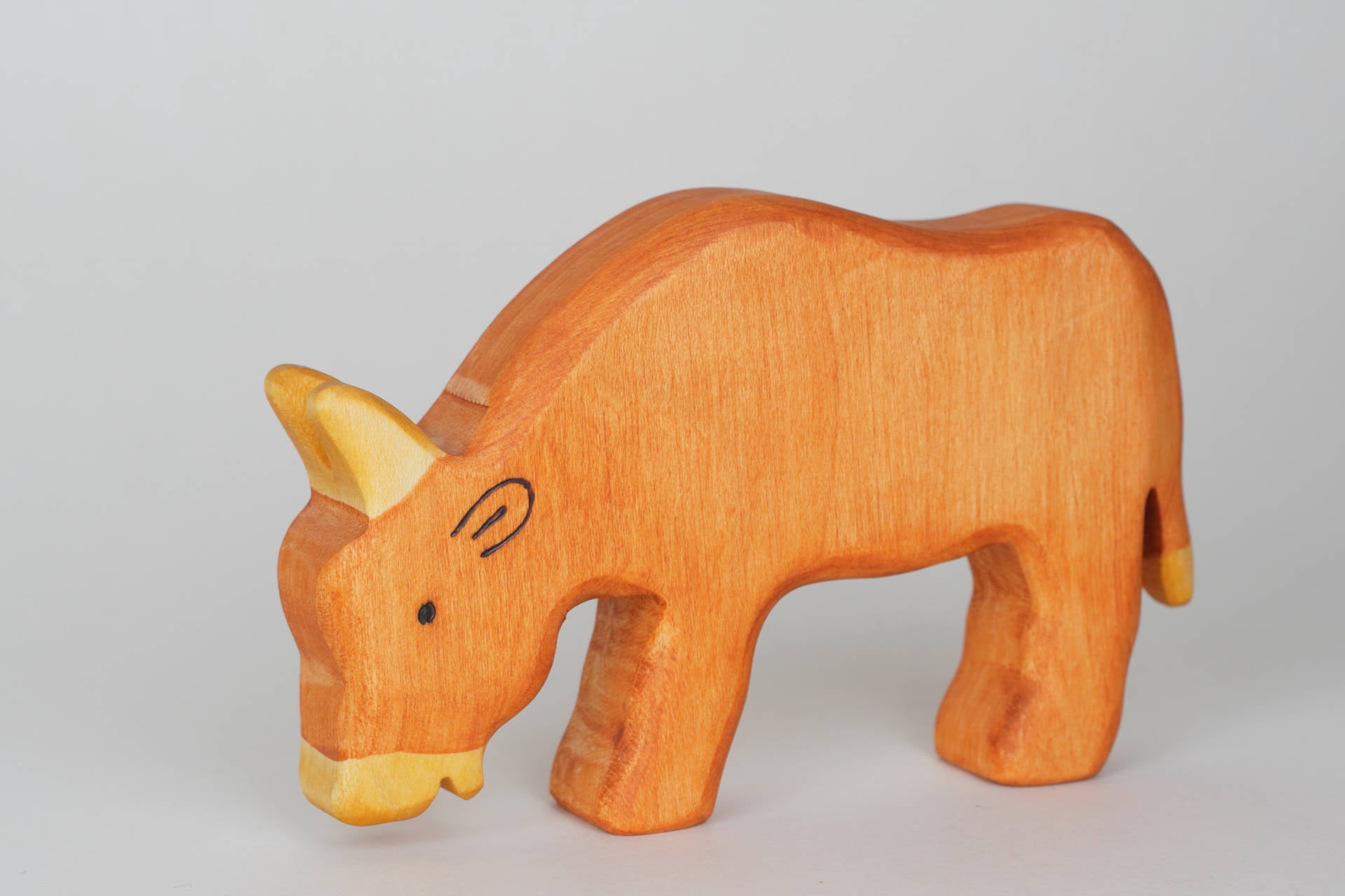 Ochse braun fressend