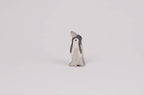 Pinguin klein