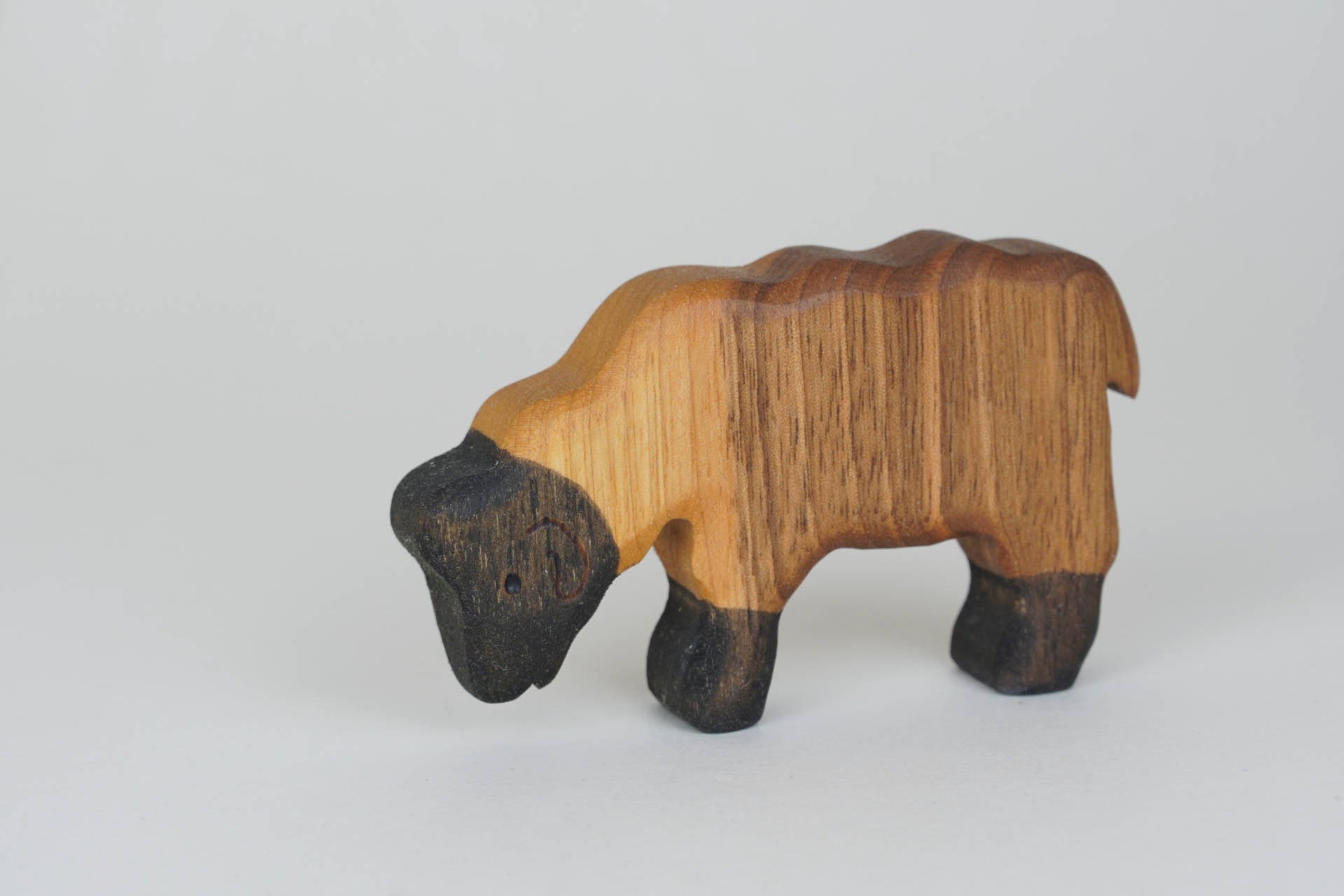 Schaf groß braun fressend