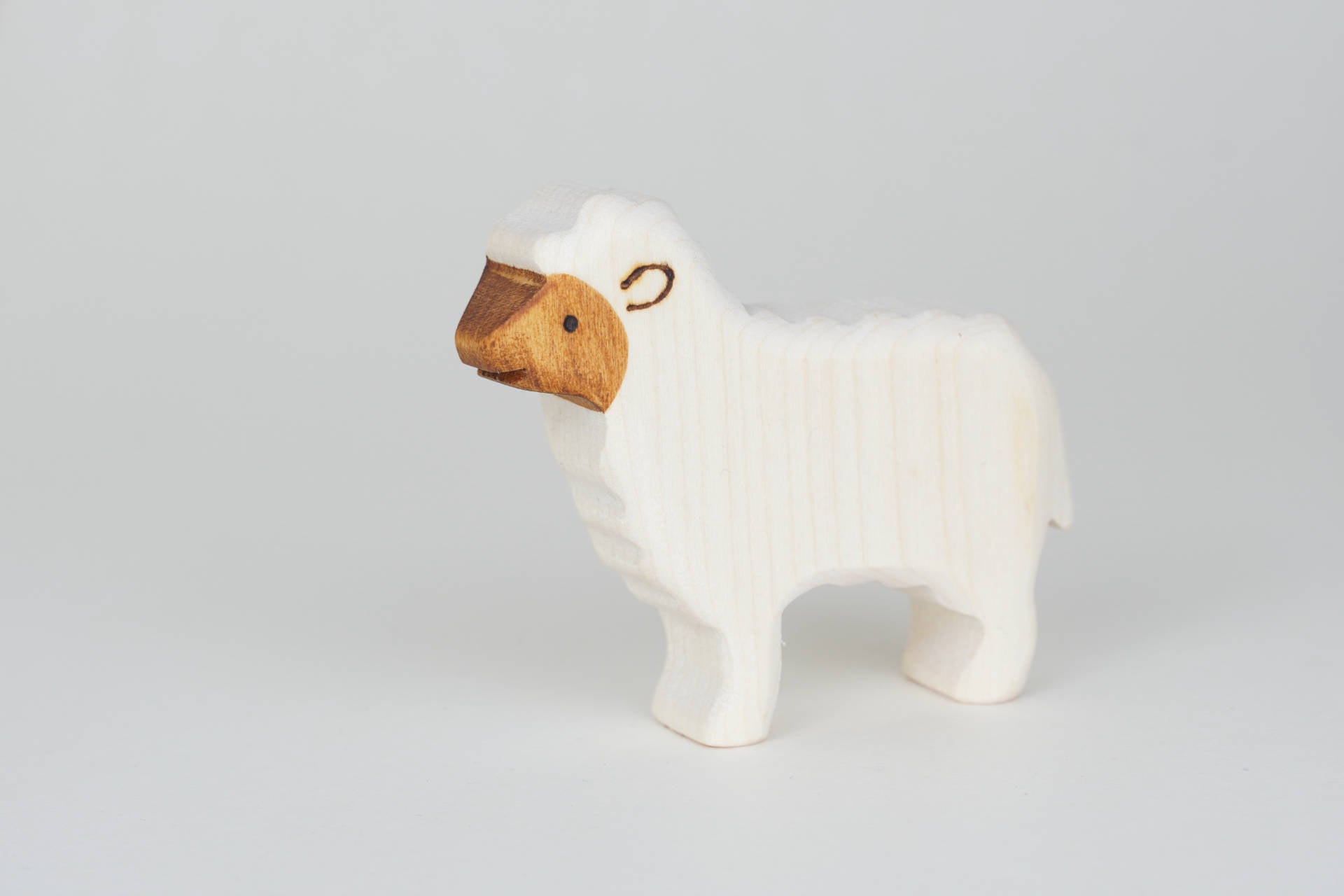 Wollschaf groß weiß