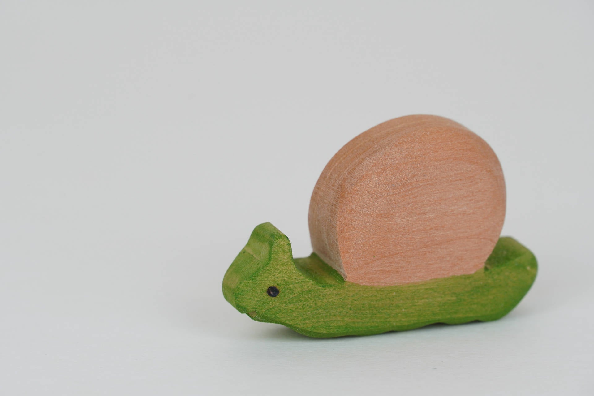 Schnecke groß