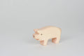 Schwein mittel
