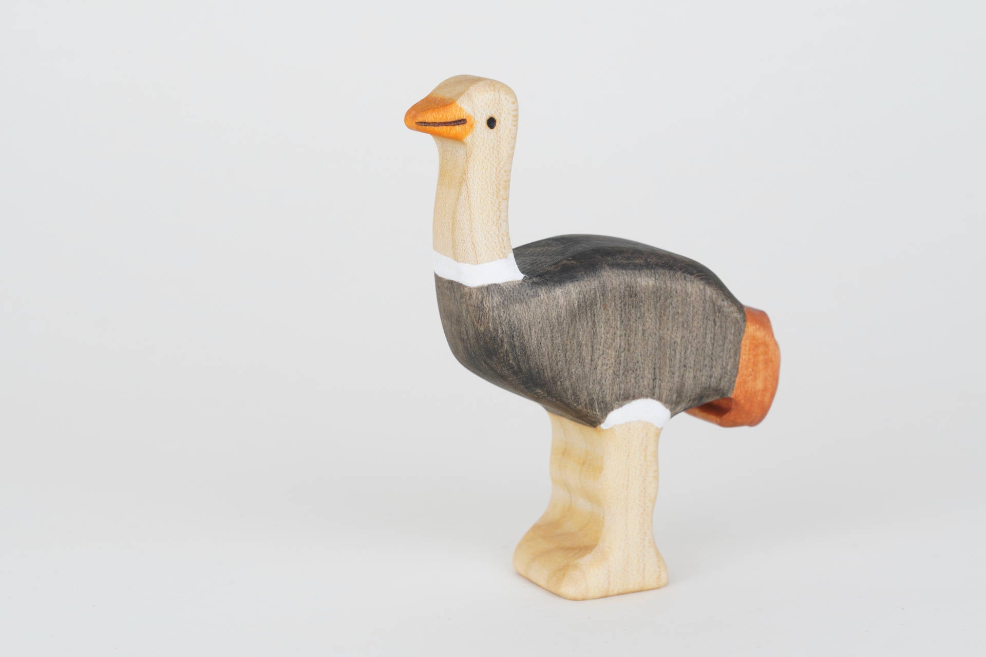 Vogel Strauß Hahn