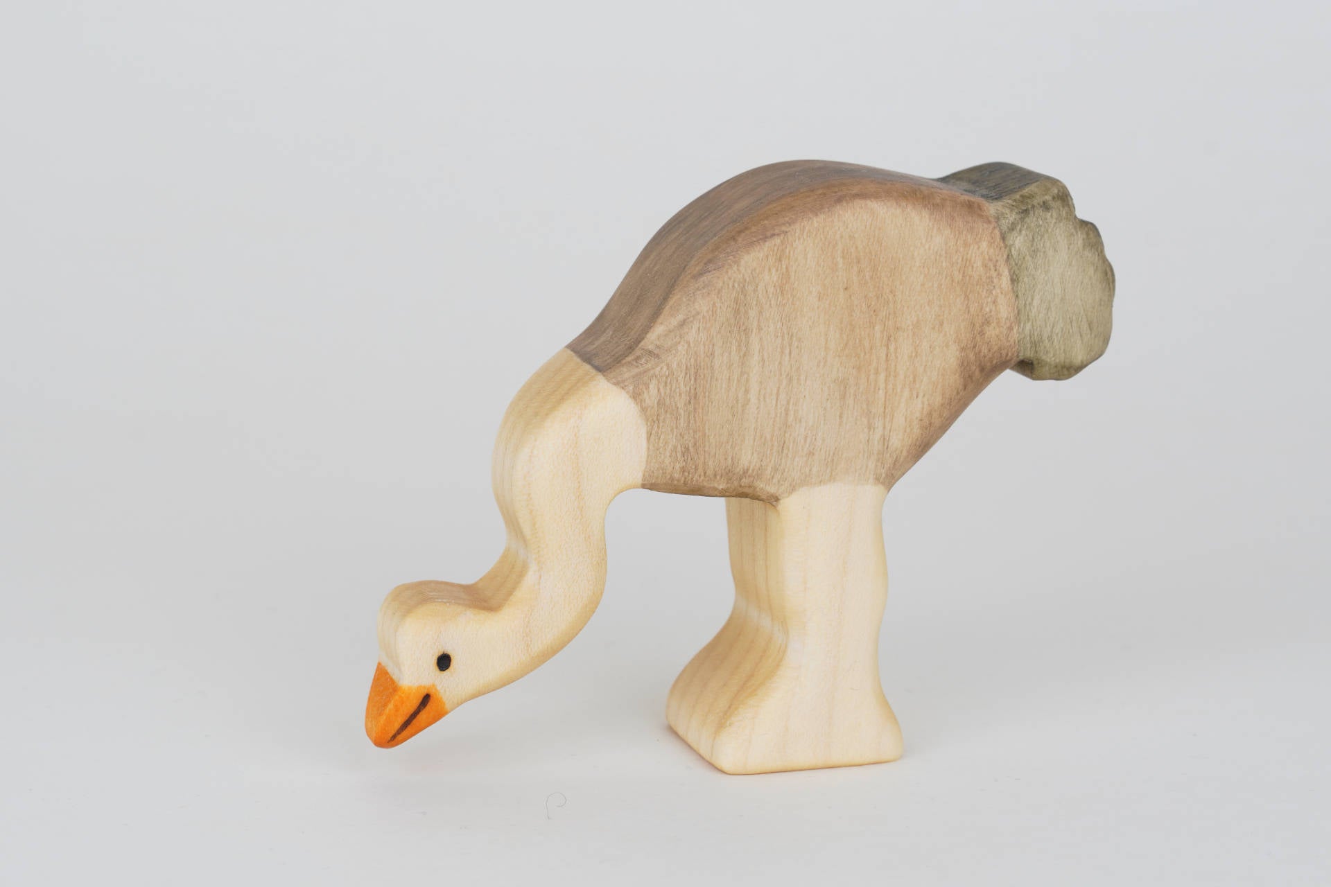 Vogel  Strauß Henne