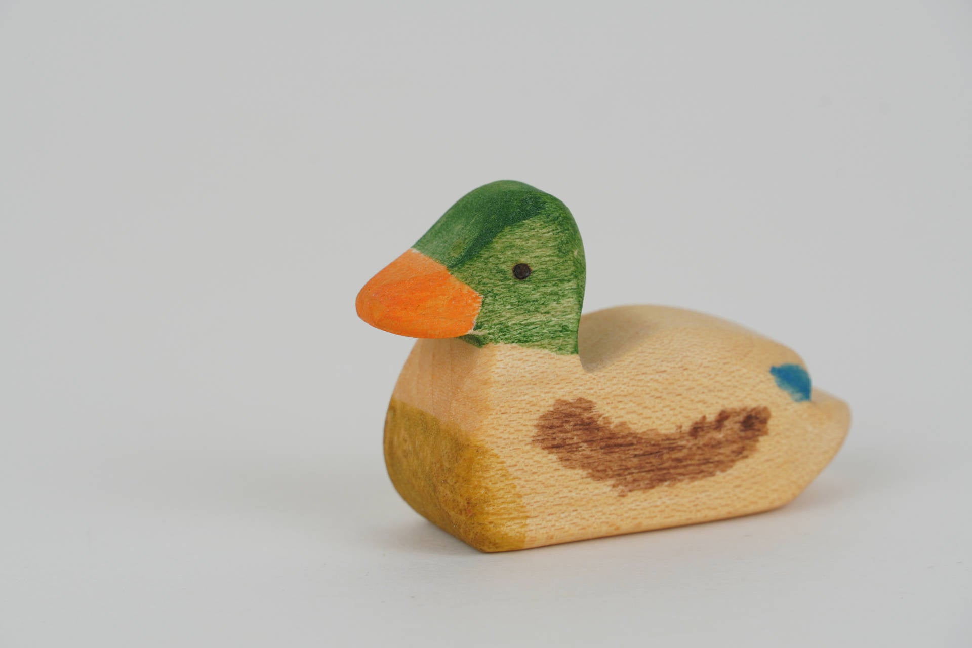 Wildenterich schwimmend
