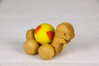 Kugel-Schildkröte gelb