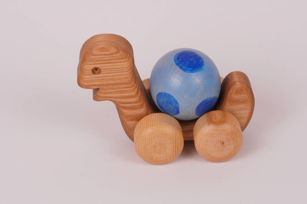 Kugel-Schildkröte blau