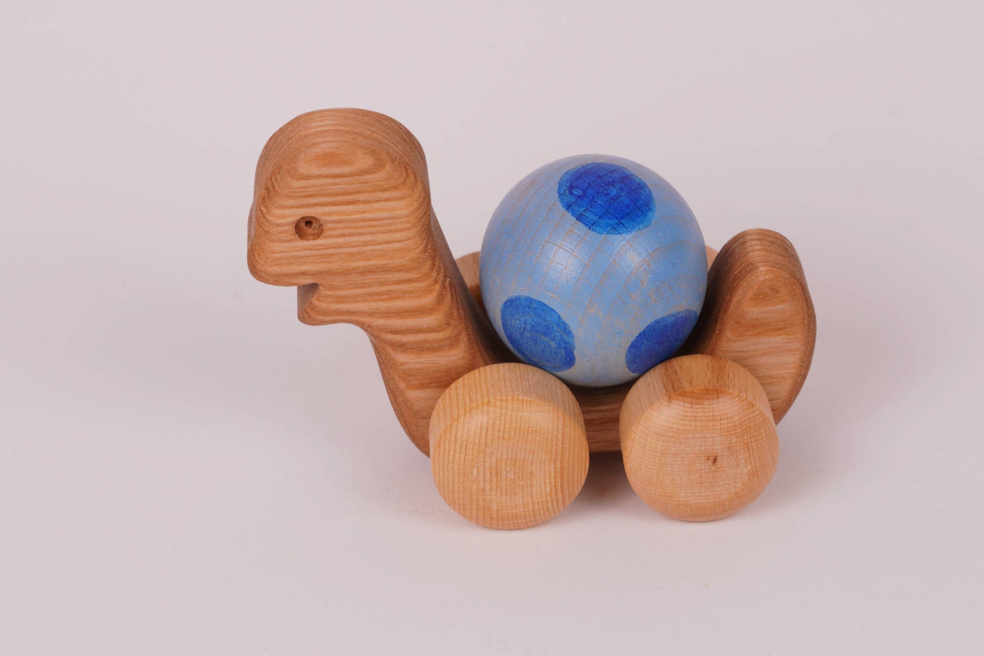 Kugel-Schildkröte blau
