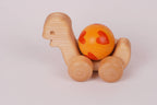 Kugel-Schildkröte orange