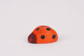 Marienkäfer klein