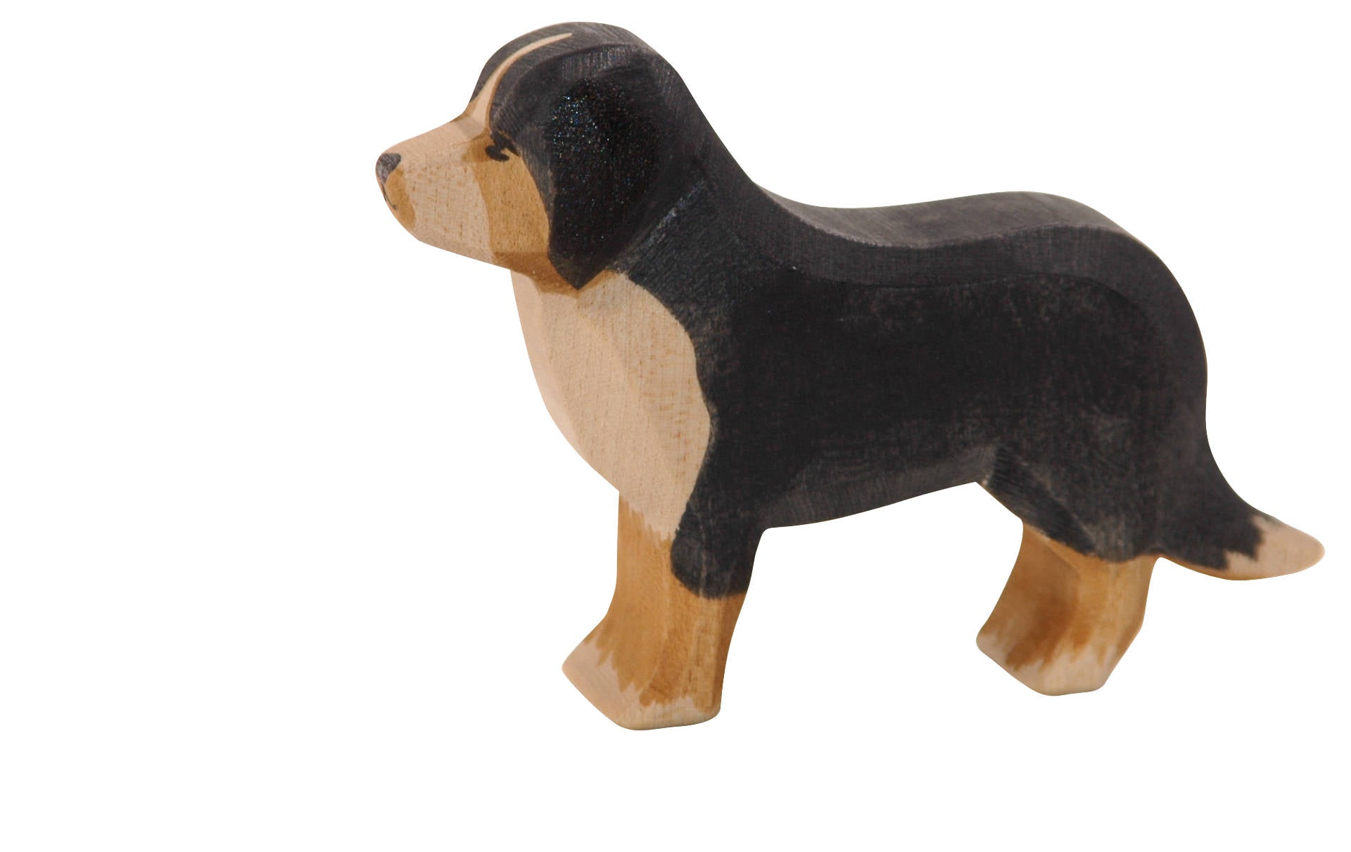 10521 Ostheimer Berner Sennenhund