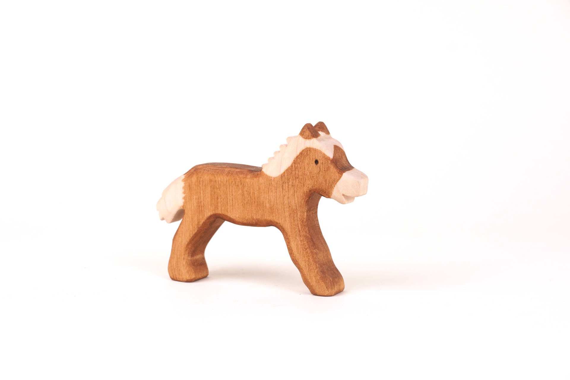 Pferd: Fohlen springend braun