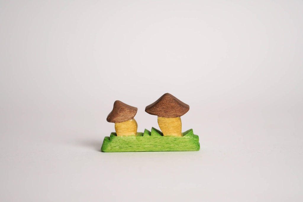 Pilz-Gruppe klein