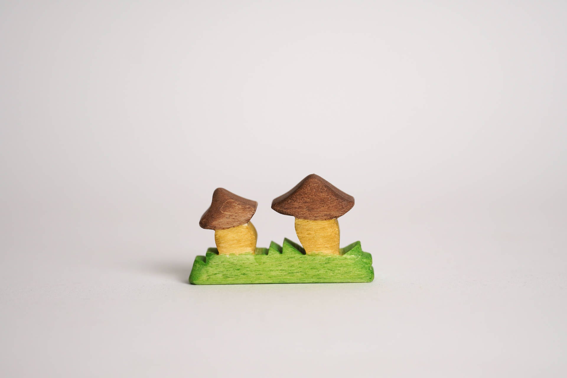 Pilz-Gruppe klein