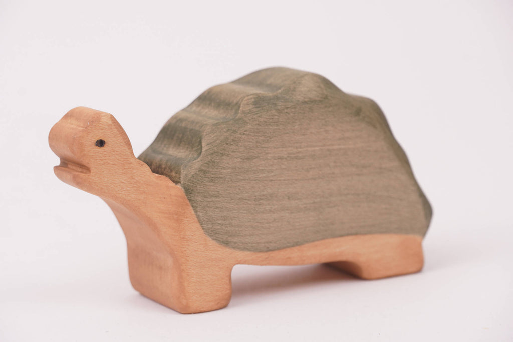 Riesenschildkröte groß Kopf oben