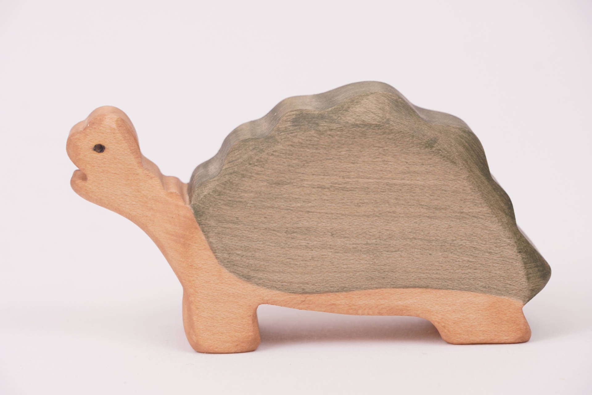 Riesenschildkröte groß Kopf oben