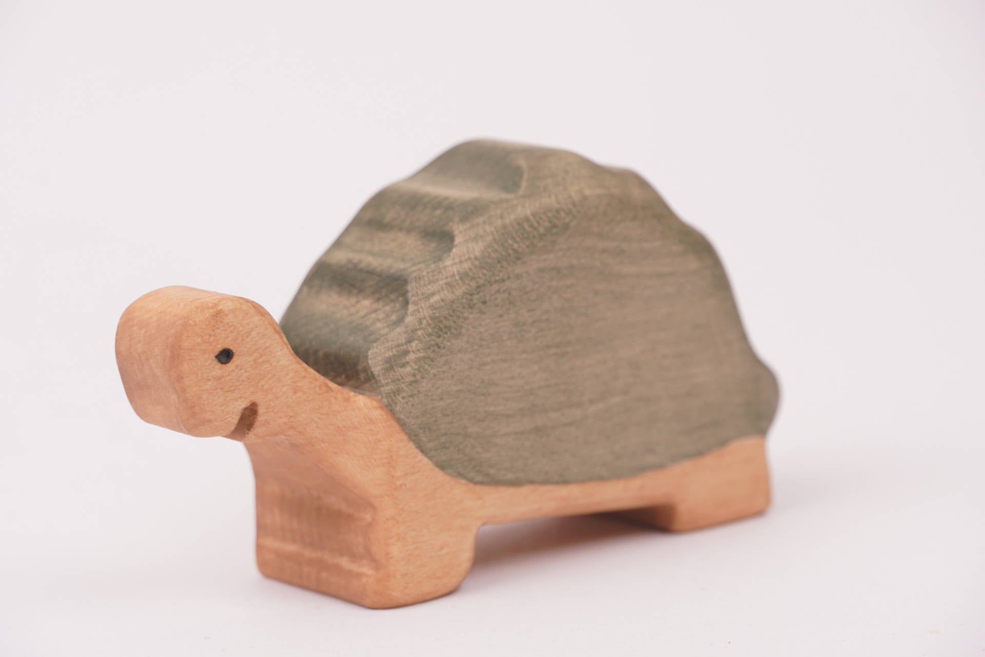 Riesenschildkröte groß fressend