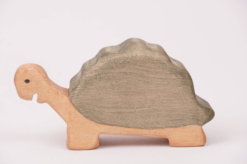 Riesenschildkröte groß fressend