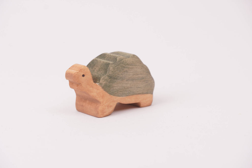 Riesenschildkröte klein aufrecht