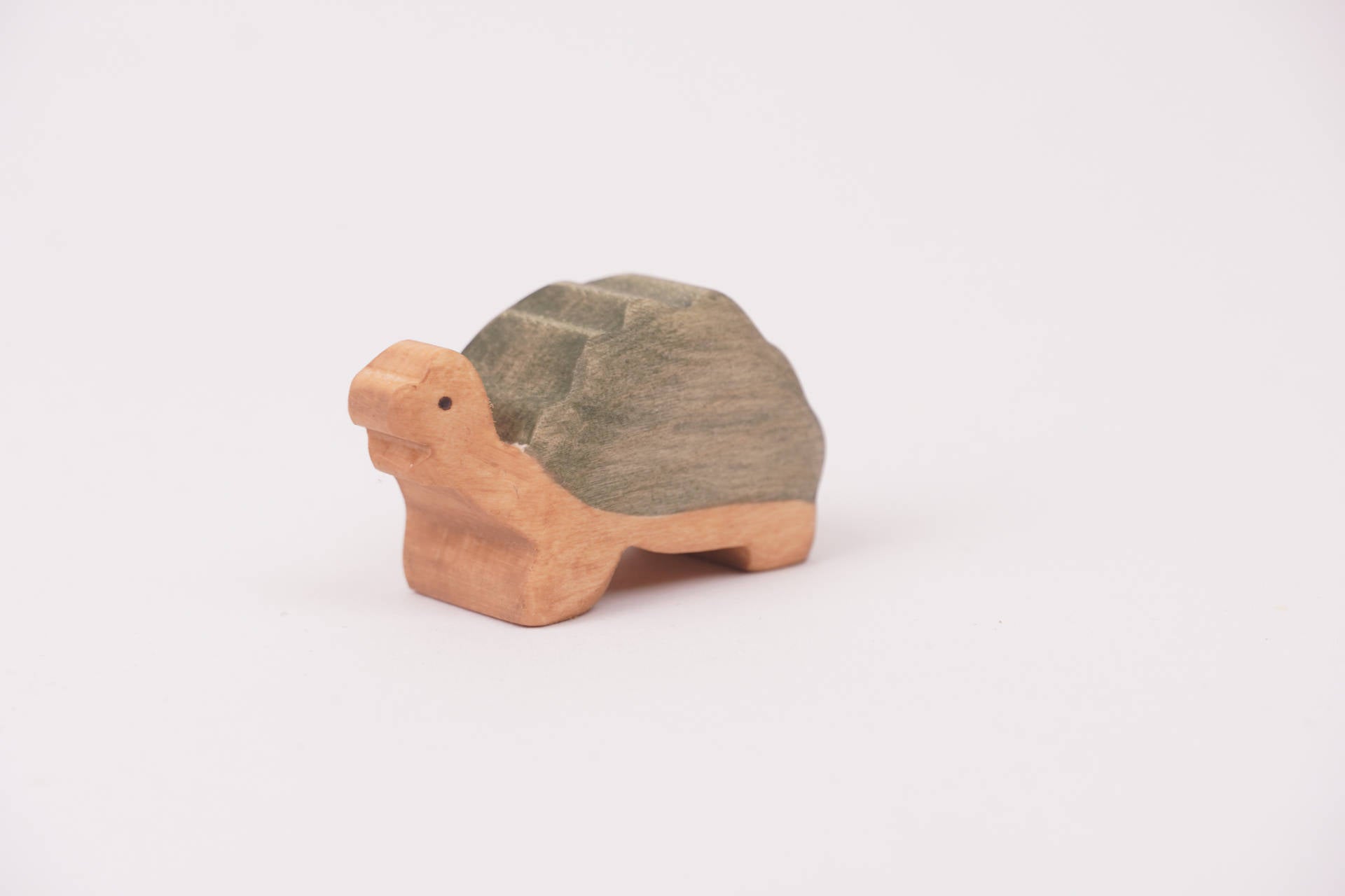 Riesenschildkröte klein aufrecht