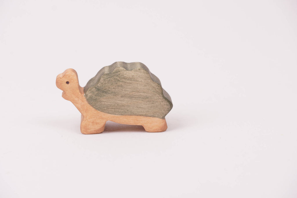 Riesenschildkröte klein aufrecht