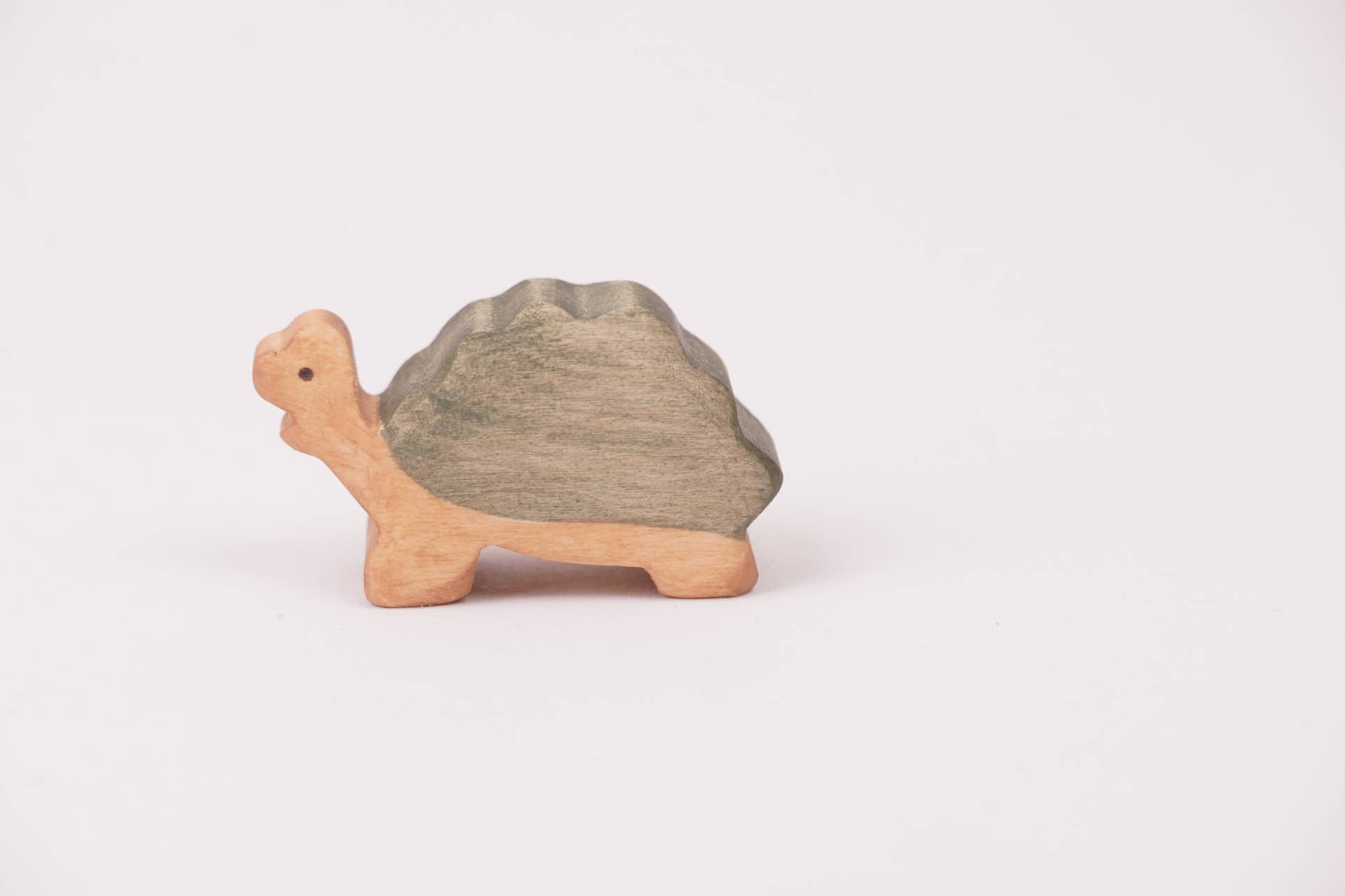 Riesenschildkröte klein aufrecht