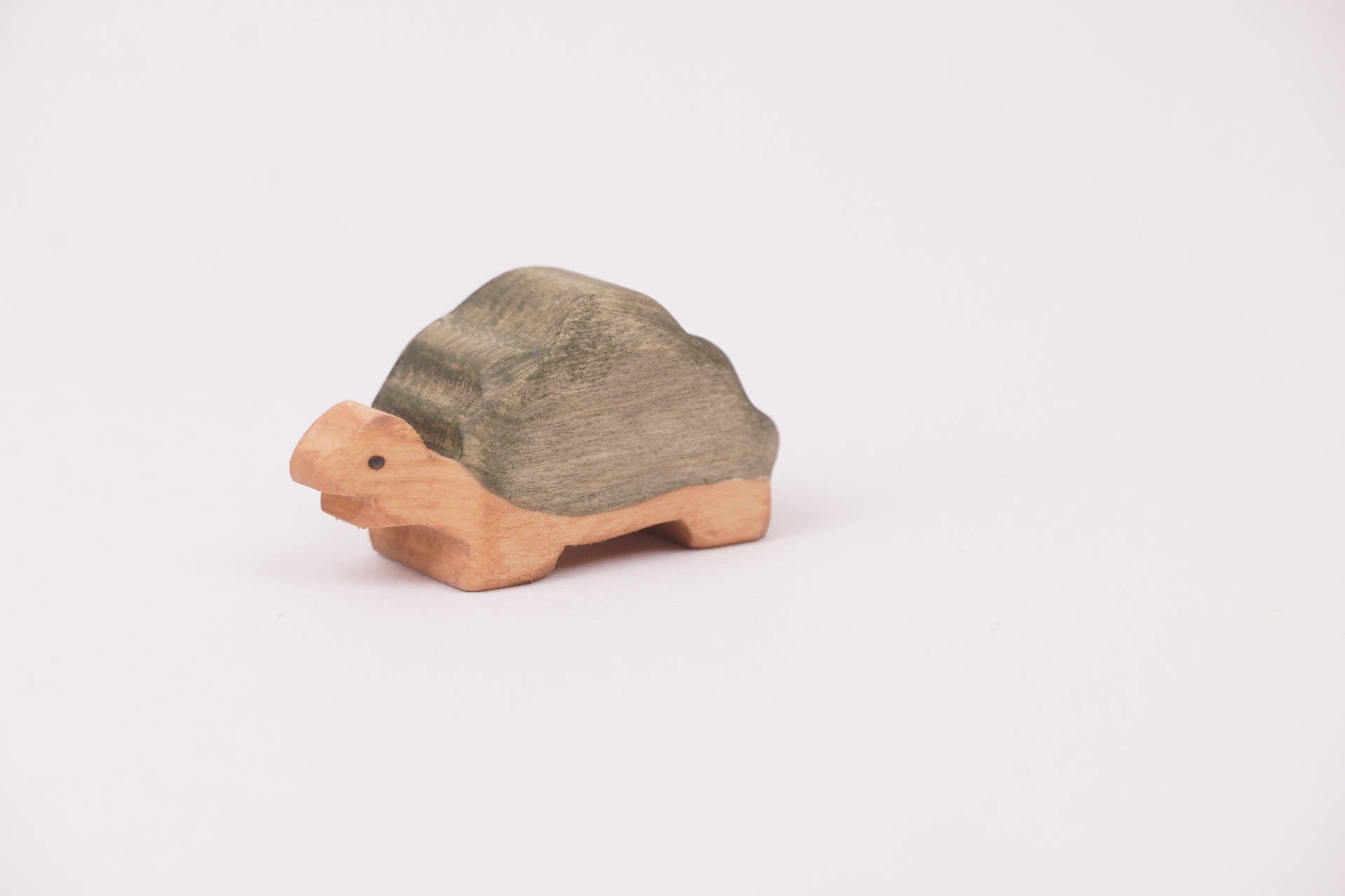 Riesenschildkröte klein Kopf unten