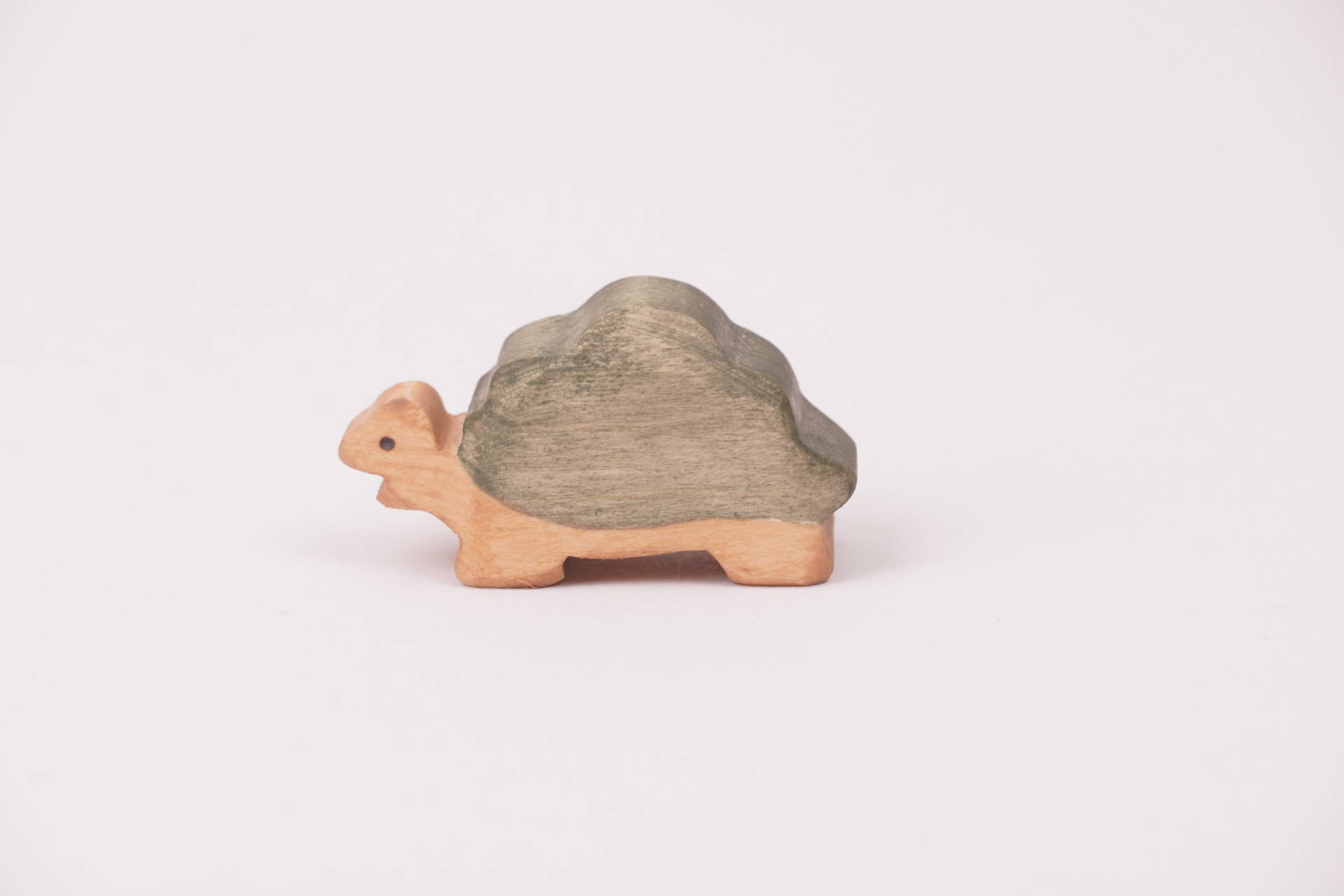 Riesenschildkröte klein Kopf unten