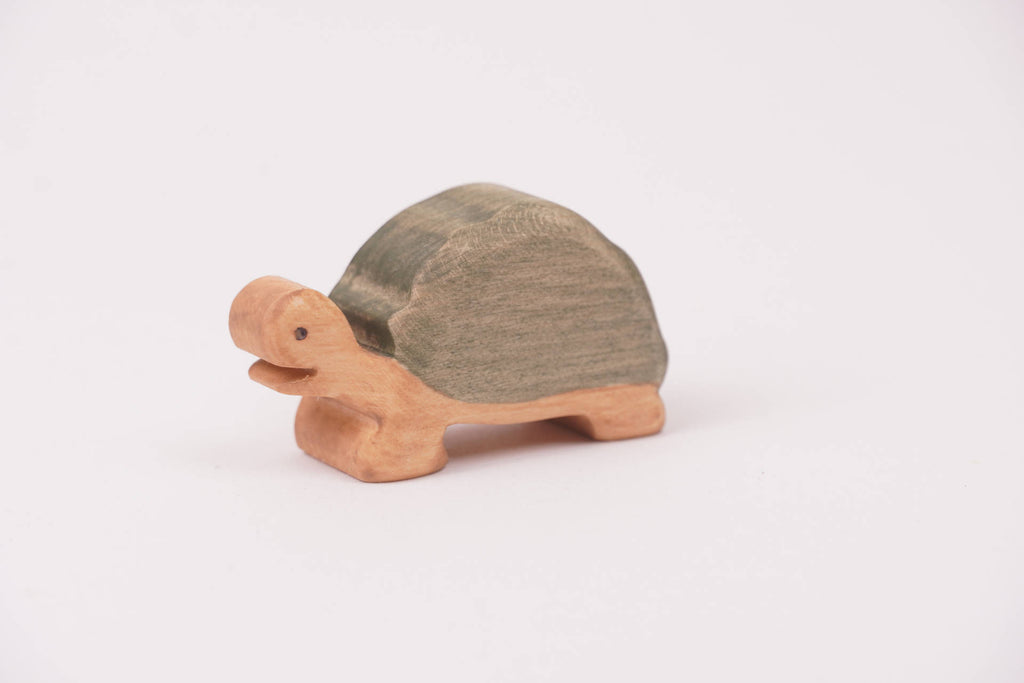 Riesenschildkröte klein Standard