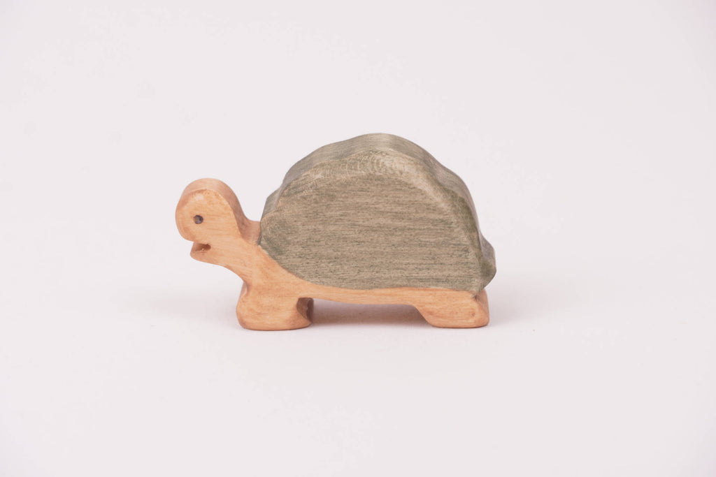 Riesenschildkröte klein Standard