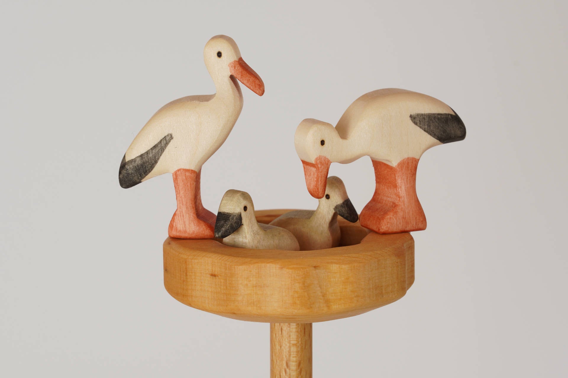 Storch Küken schreiend