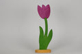 Tulpe groß brombeer