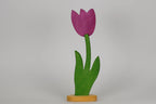 Tulpe groß brombeer