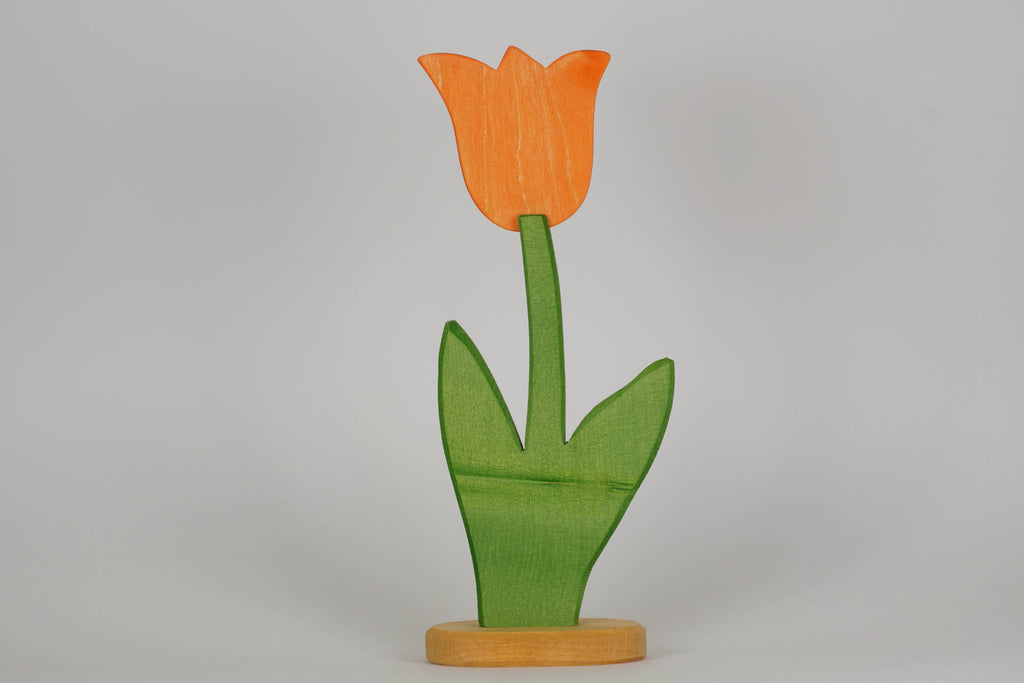 Tulpe groß orange
